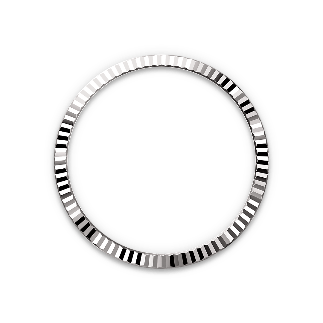 m126234-0037_bezel